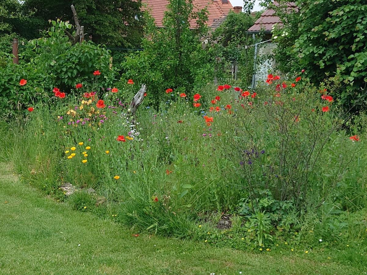 Ferienhof-Rietschen-Neuliebel エクステリア 写真