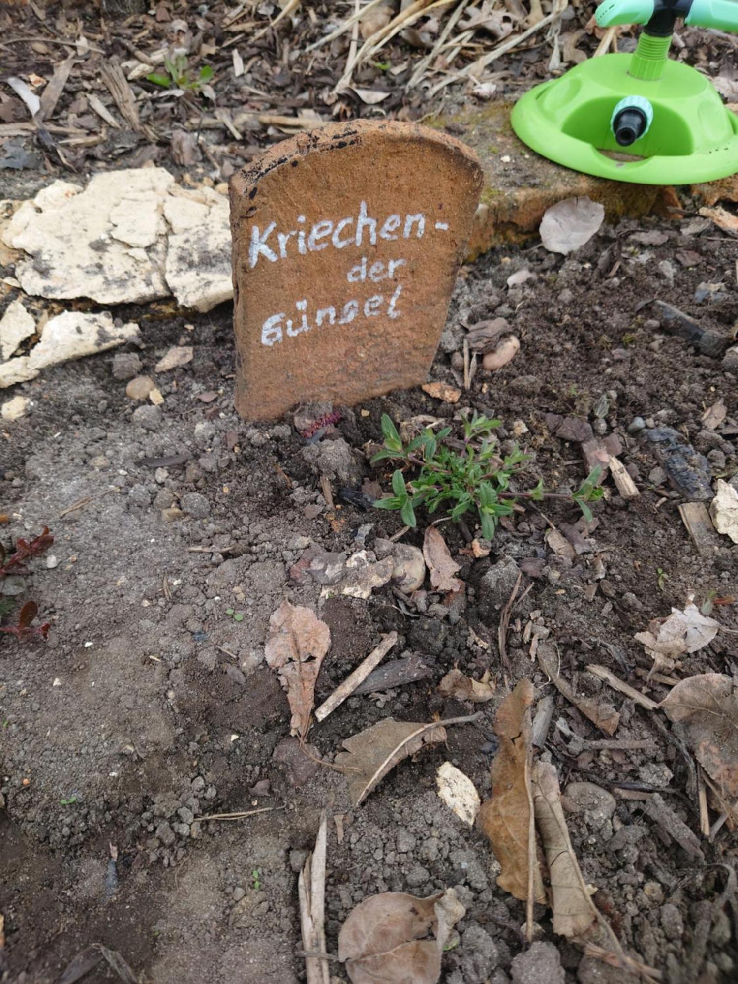Ferienhof-Rietschen-Neuliebel エクステリア 写真