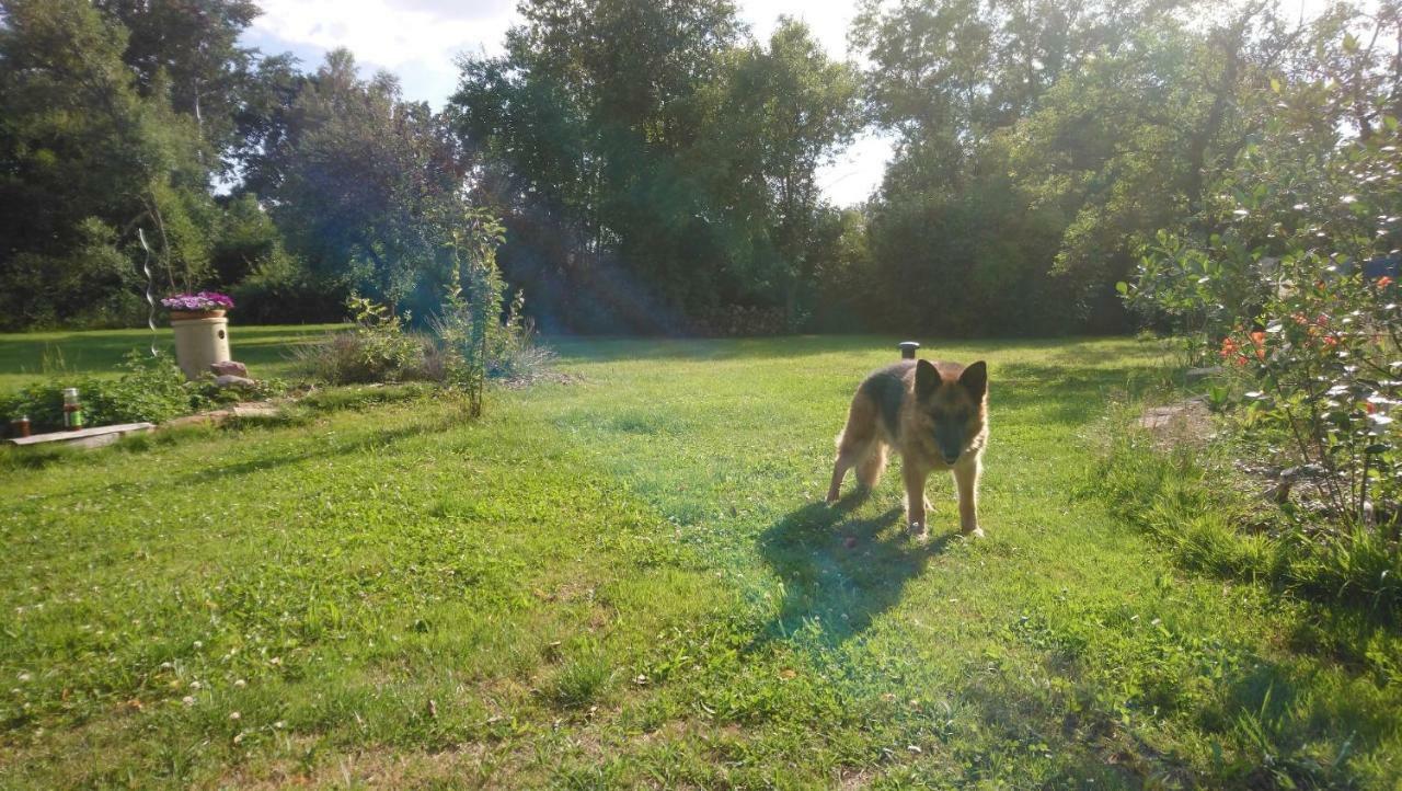 Ferienhof-Rietschen-Neuliebel エクステリア 写真